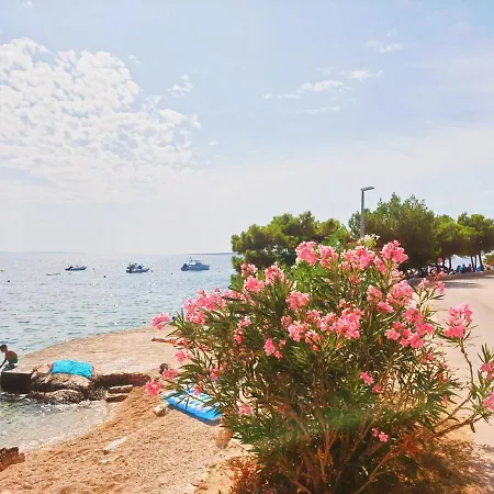 Sea View * Mandre