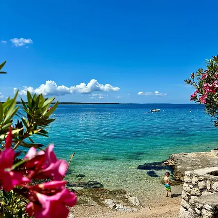 Appartement Sea View