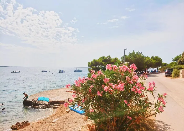 Sea View * Mandre