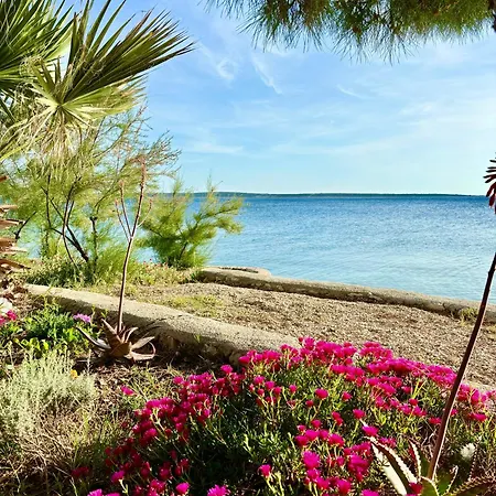 Sea View דירה